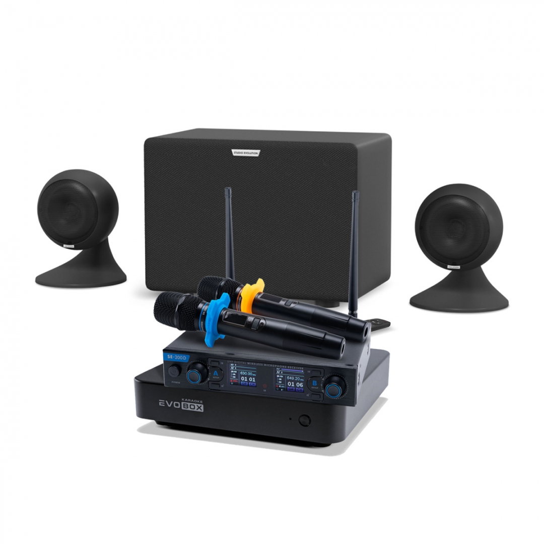 караоке-комплект EVOBOX + EvoSound Sphere 2.1 в Волхове