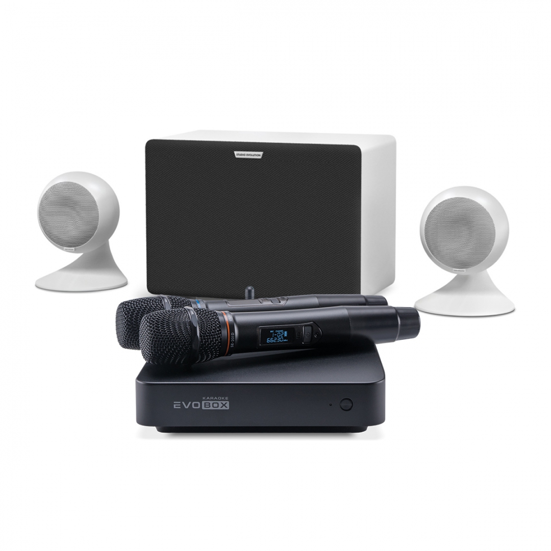караоке-комплект EVOBOX Classic + EvoSound Sphere 2.1 в Волхове