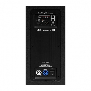 Активная акустическая система AST-310A в Волхове